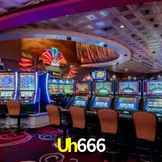 Premium Interface Uh666